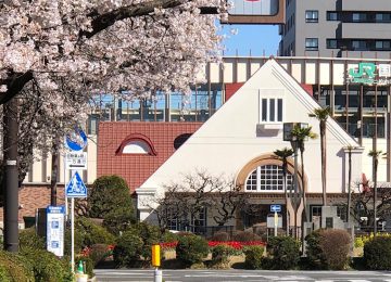 旧国立駅舎と桜